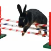 Agilityhinder med 6 bommar Kanin>Kerbl Outlet