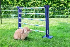 Agility Kombihopp Kanin><noscript><img width=
