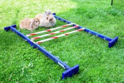 Agility Kombihopp Kanin><noscript><img width=