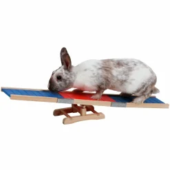 Agility Vippbräda Kanin 60cm><noscript><img width=