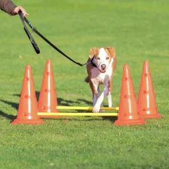Agility Hinder set Hopphinder Orange 2-p>Trixie Sale