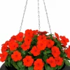 Ampel Pokal Svart Ø38cm>Ventura Outlet