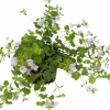 Bacopa / Snöflinga lat. Chaenostoma cordatum>Mäster Grön Discount