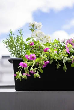 Balkonglåda Botanica Återvunnen plast Svart 100cm>Orthex Outlet