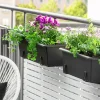 Balkonglåda Botanica Återvunnen plast Svart 60cm>Orthex Sale