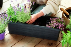 Balkonglåda Epoque insats Återvunnen plast Svart 80cm>Orthex New
