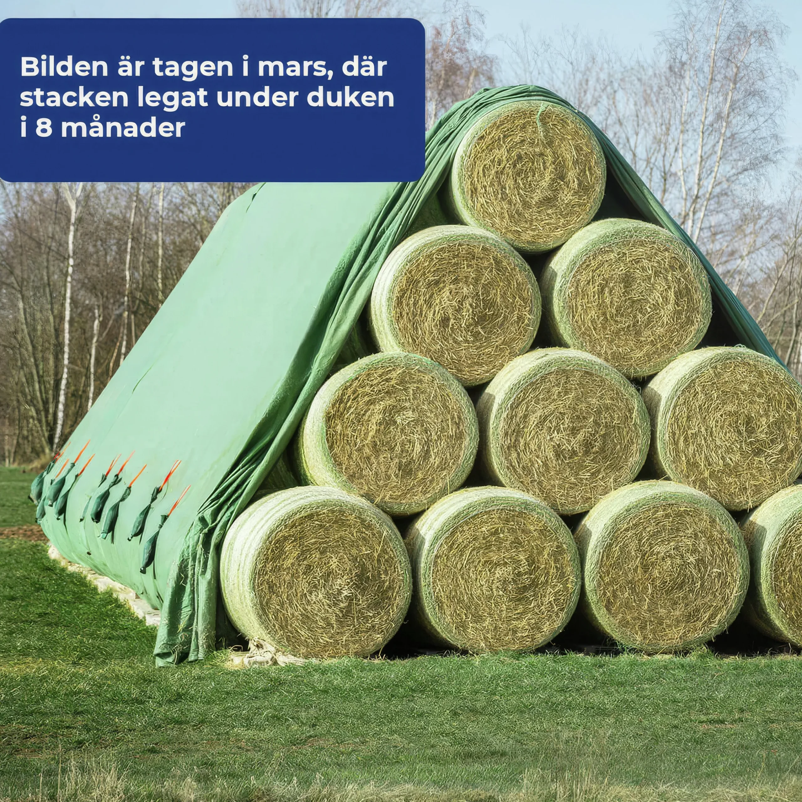 Baltäckningsduk grön>Toptex