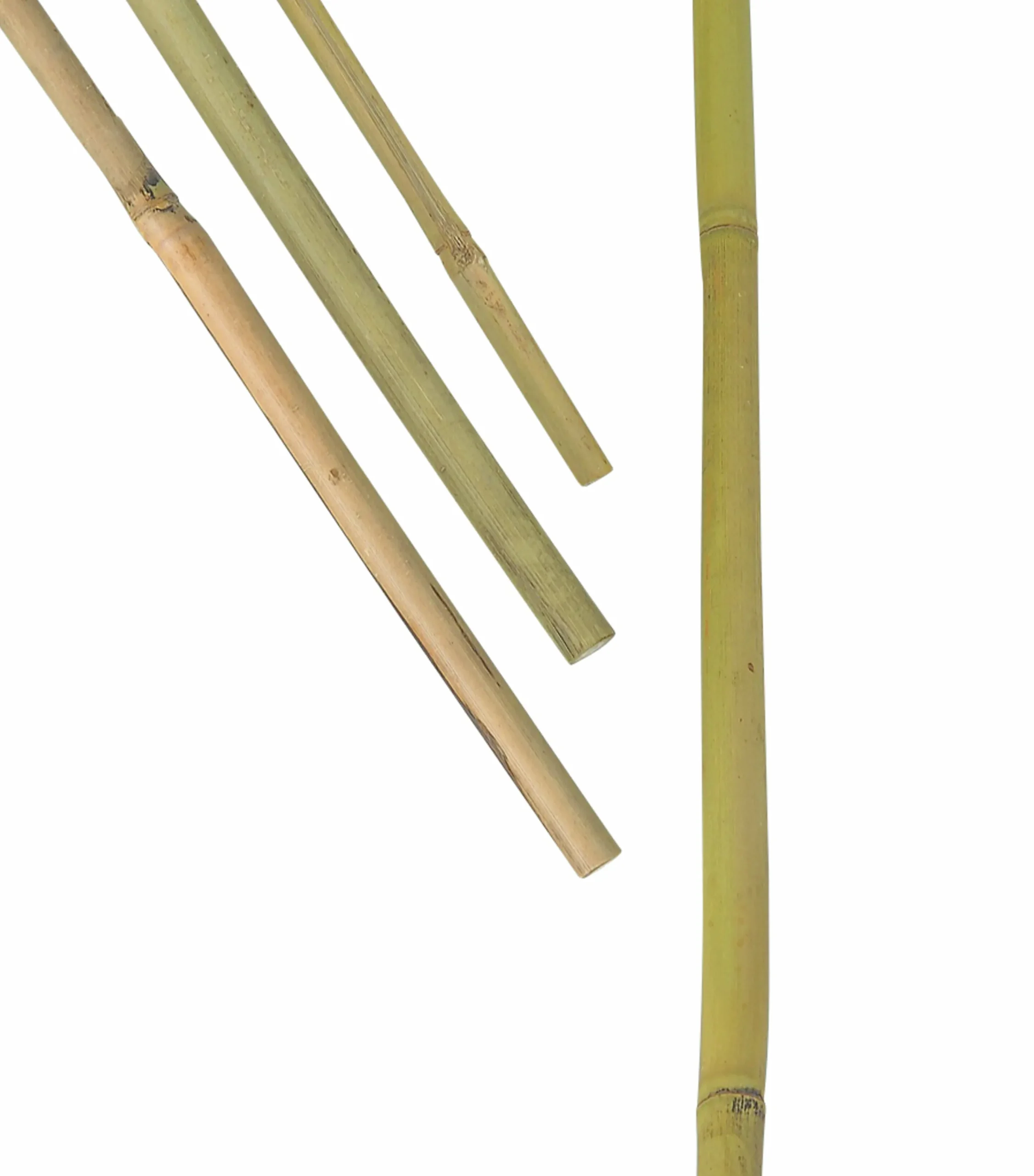Bambukäpp Växtstöd 200cm 3-p>Nelson Garden Online