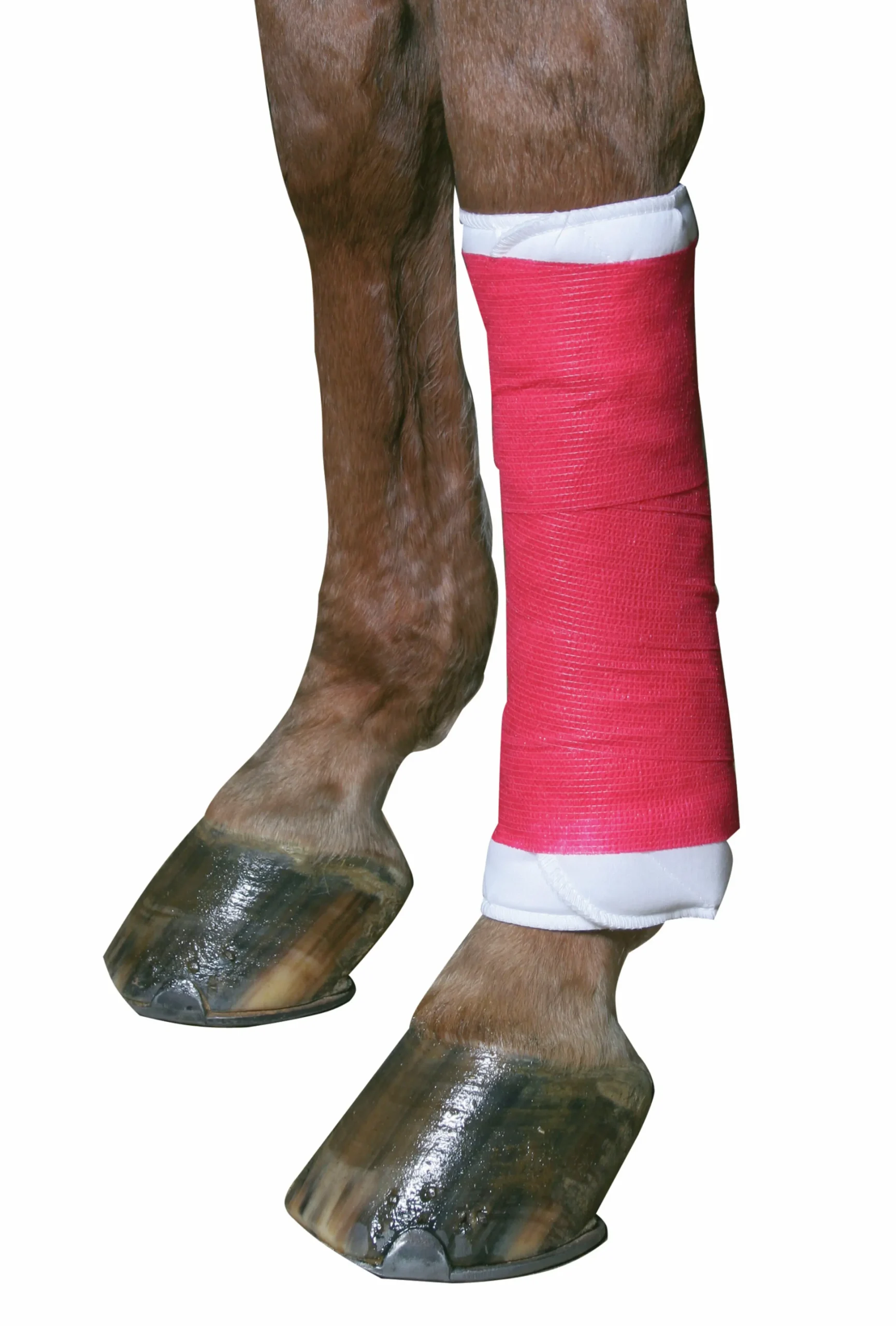 Bandage EquiLASTIC 10cmx4,5m Röd>Kerbl Outlet