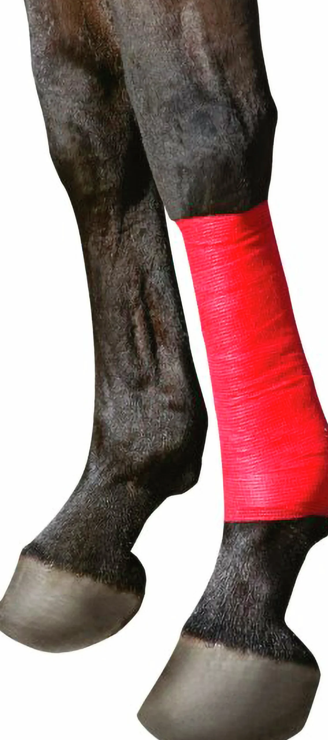 Bandage EquiLASTIC 5cmx4,5m Röd>Kerbl Outlet