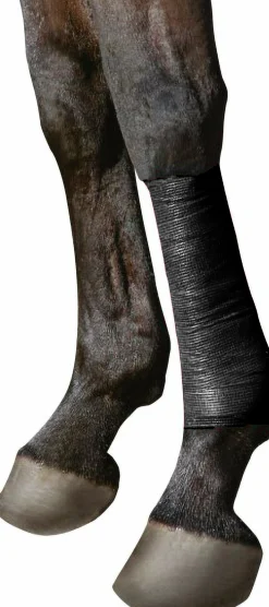 Bandage EquiLASTIC 5cmx4,5m Svart><noscript><img width=