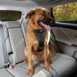 Biee Hund Tru-Fit>Kurgo Online