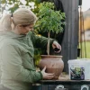 Biokol med vermikompost Biohumus Terra 5L>Nelson Garden Clearance