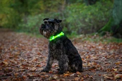 Blinkhalsband LED Rosa Onesize 20-65cm>Dogman Clearance