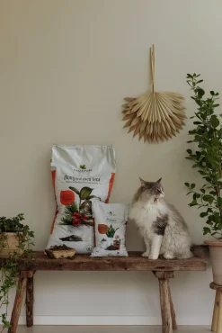 Blomjord med Lecakulor Hasselfors 40L>Hasselfors Garden Online