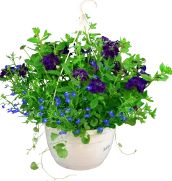 Blommande ampel Nyans 27cm><noscript><img width=