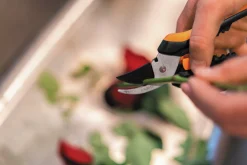 Blomsax SP14 Solid Snip>Fiskars Best