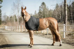 Bogskydd Bot>Back on Track Hot