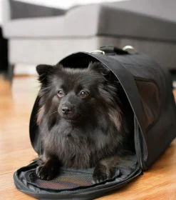 Bärväska Hund och Katt Snobben Svart 46cm>Dogman Discount
