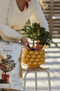 Citrusjord Medelhavsjord Hasselfors 15L><noscript><img width=