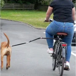Cykelfäste med koppel><noscript><img width=