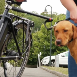 Cykelfäste med koppel><noscript><img width=
