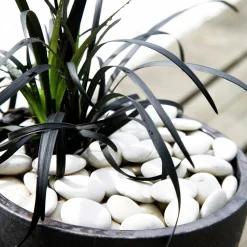 Dekorsten Hasselfors Vita pebbles 7kg><noscript><img width=