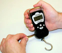 Digital hängvåg DigiScale 50kg>Kerbl New