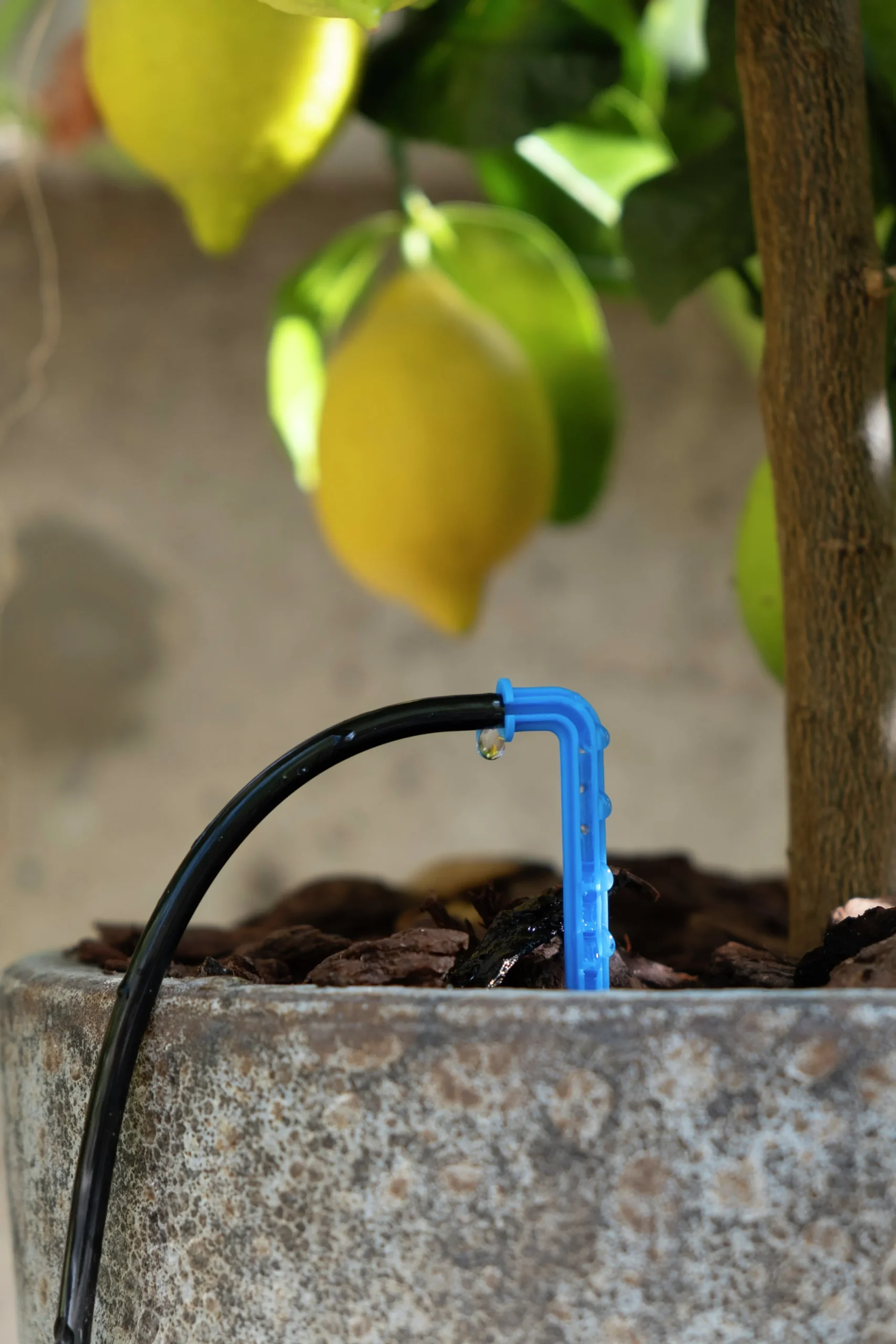 Droppbevattningssystem EcoAqua S10 Solcell 10 munstycken>GreenLine Outlet