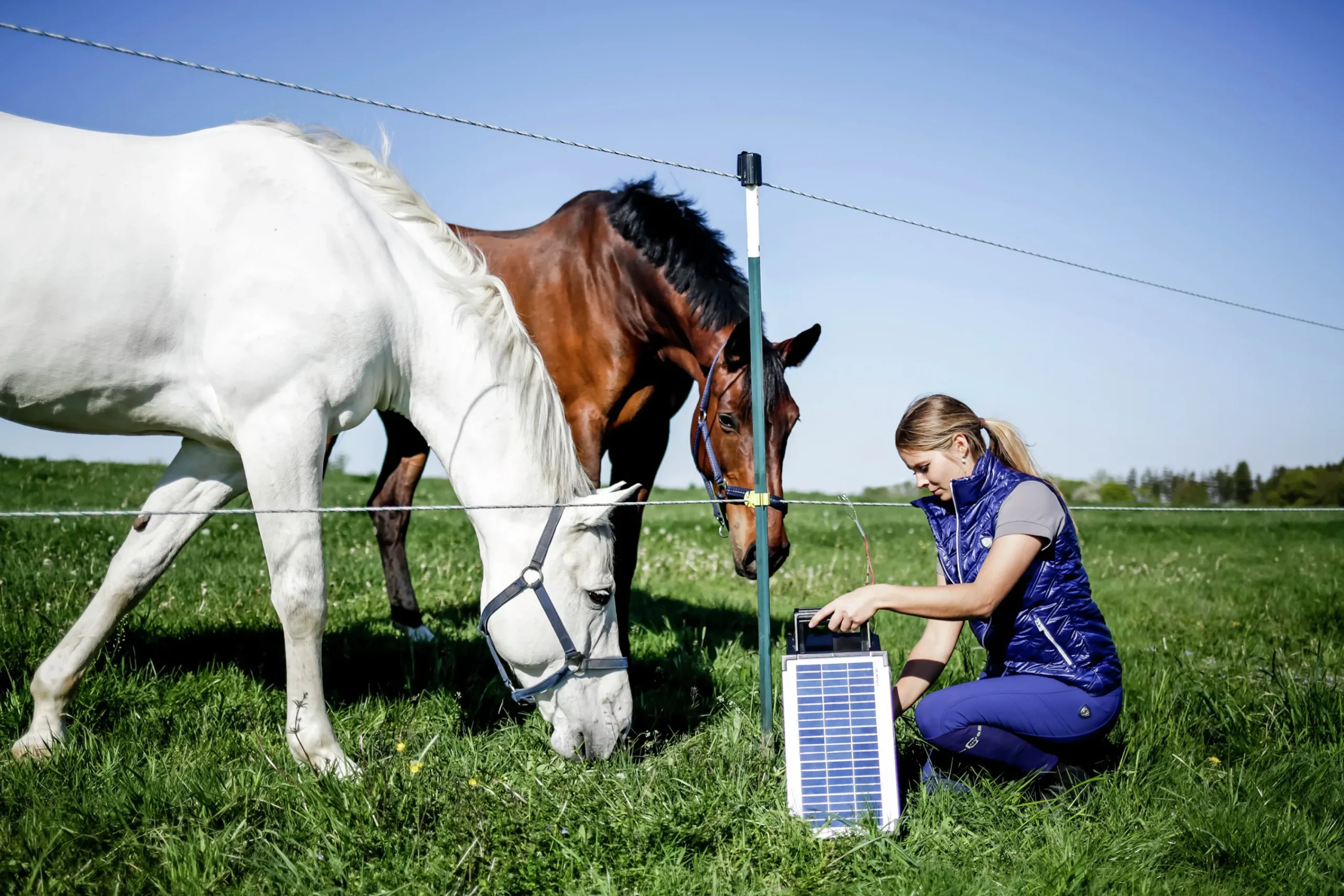 Elstängselaggregat Sun Power S800 12V>AKO New