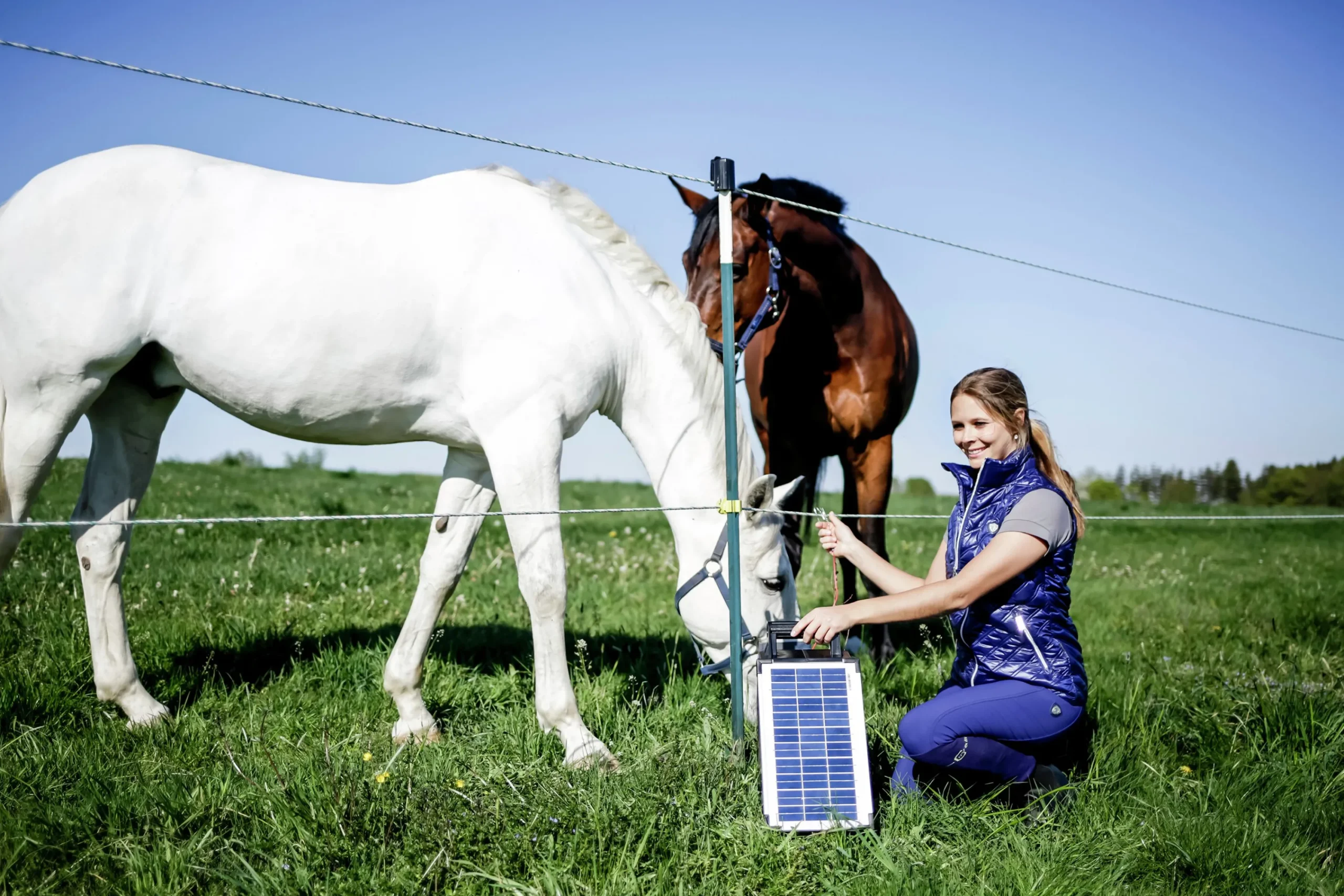 Elstängselaggregat Sun Power S800 12V>AKO New