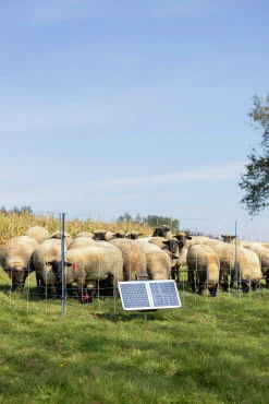 Elstängselaggregat SunPower Smart S2400><noscript><img width=