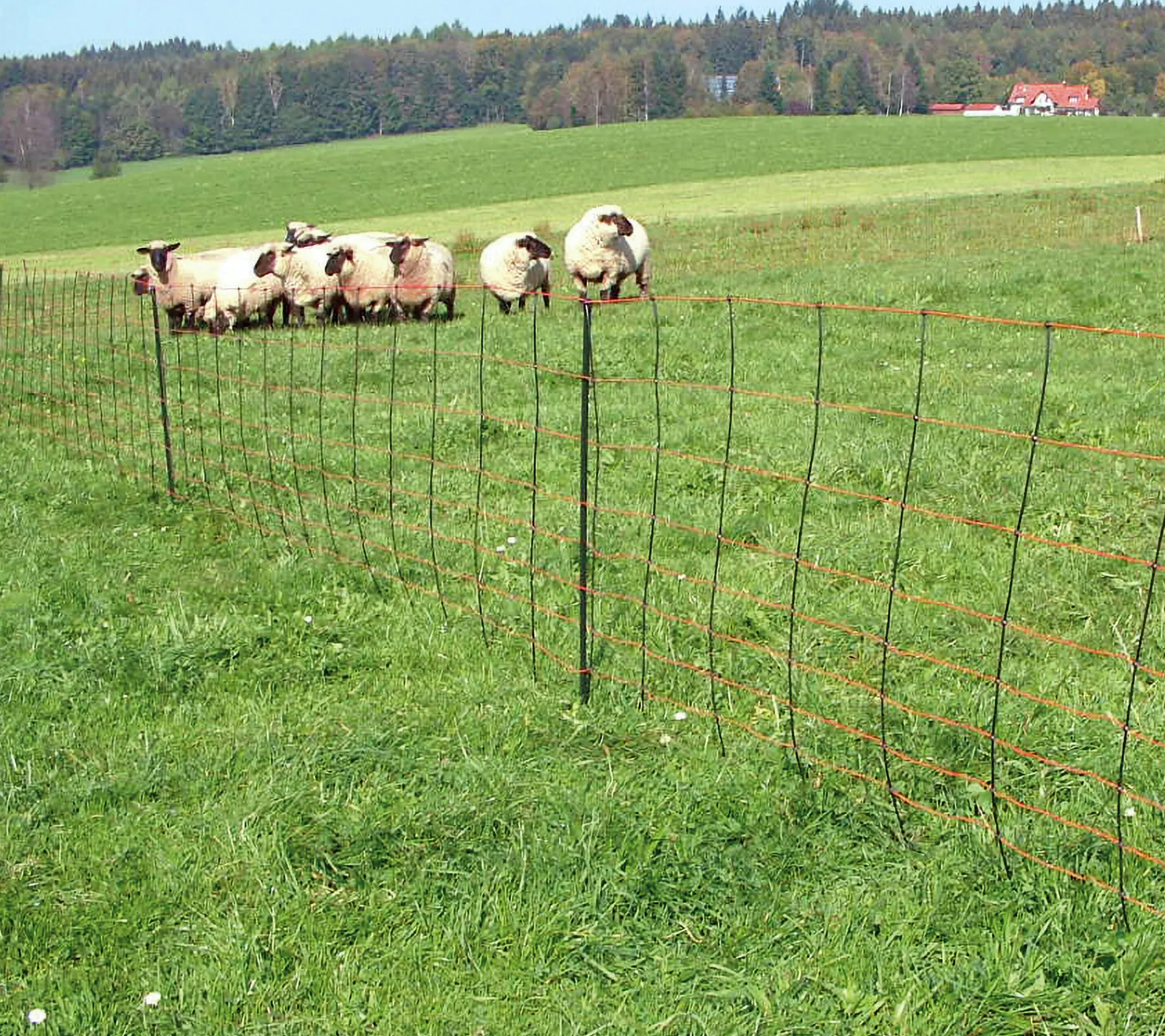 Elstängselnät TitanNet får 108cm 50m>AKO Online