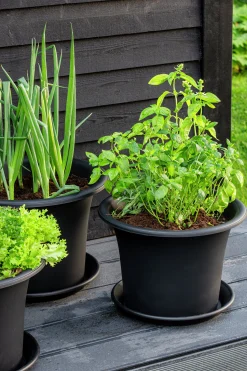 Fat Botanica Återvunnen plast><noscript><img width=