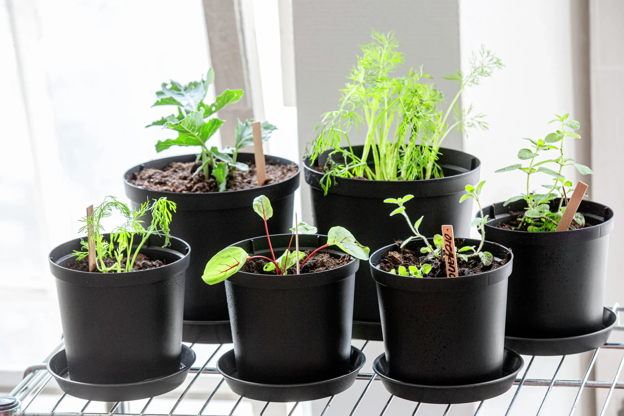 Fat Cultivate Återvunnen plast Ø24cm>Orthex Discount