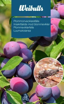 Feromonfälla Plommonvecklare>Weibulls Best