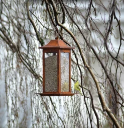 Fågelmatare Rost Frö 33cm><noscript><img width=