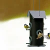 Fågelmatare XL Frö 3L>Nelson Garden Online