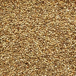 Fågelmat Hampfrö 5kg><noscript><img width=
