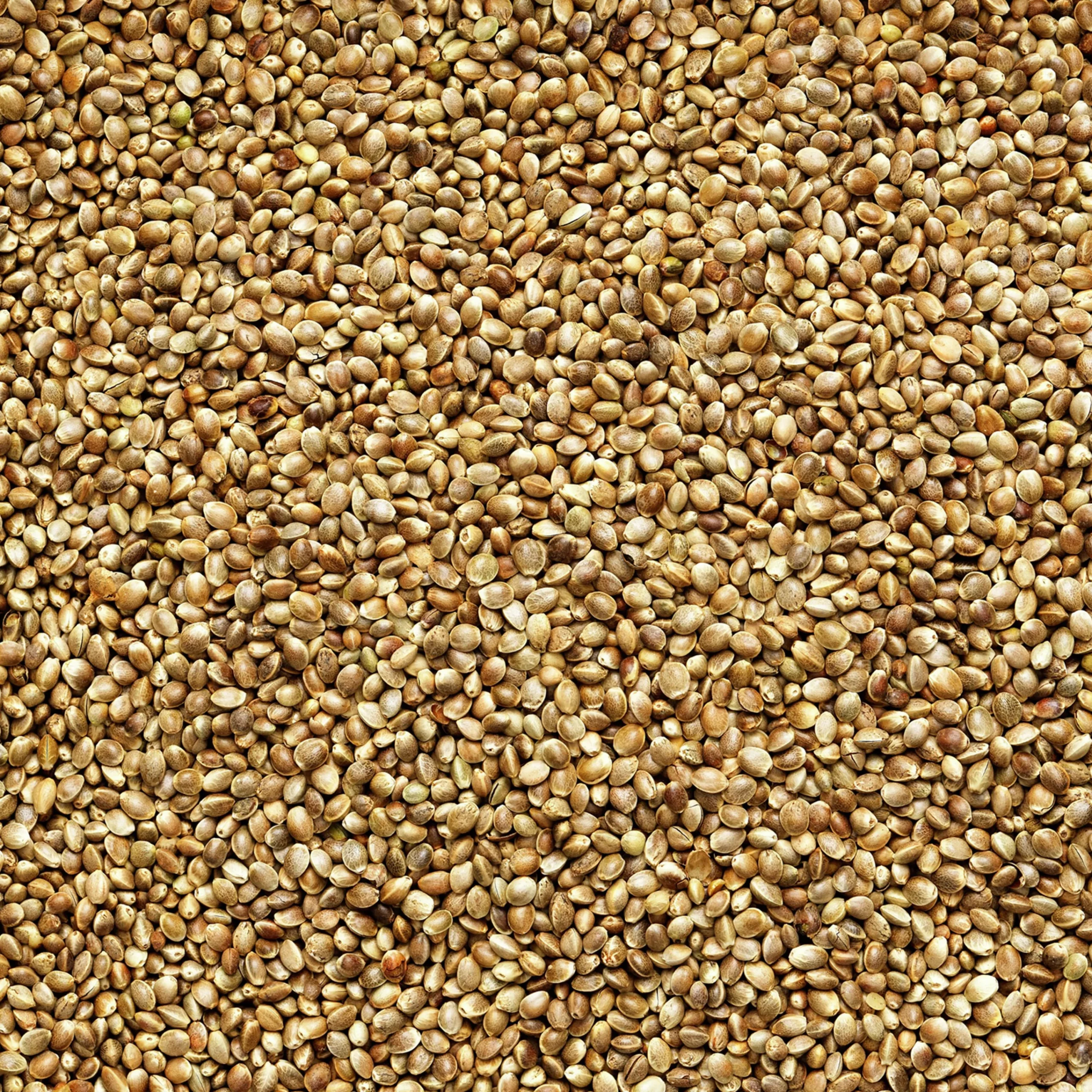 Fågelmat Hampfrö 5kg>Granngården Best