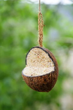 Fågelmat Kokosnöt med insektsfett 350g>Granngården New