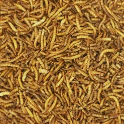 Fågelmat Mjölmaskar 400g><noscript><img width=