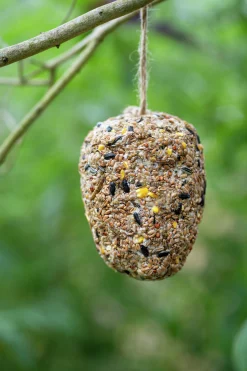 Fågelmat Pinjekotte med insektsfett 350g><noscript><img width=