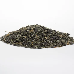 Fågelmat Solrosfrö Strimmiga+Svarta 10kg>Granngården