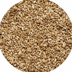 Fågelmat Solrosfrö Skalade Hink 5kg>Granngården New