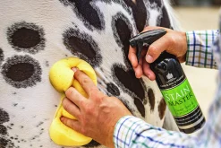 Fläckborttagare Carr & Day & Martin Stain Master 500ml>Carr Day Martin Discount