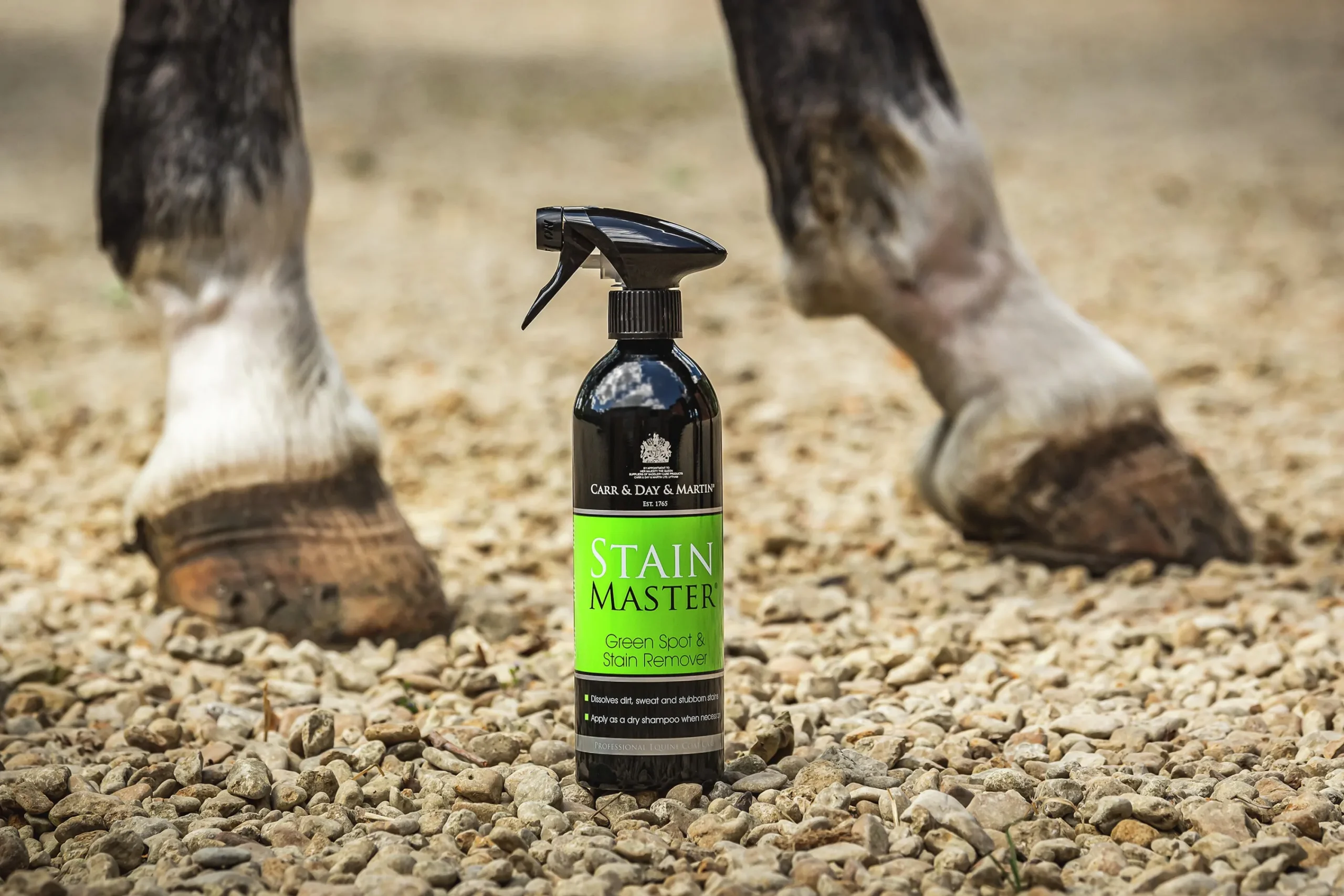 Fläckborttagare Carr & Day & Martin Stain Master 500ml>Carr Day Martin Discount