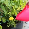 Flexikorg rosa 15L>Red Gorilla Outlet
