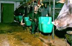 Foderkrubba modell 110 11,5L>Young Line Online