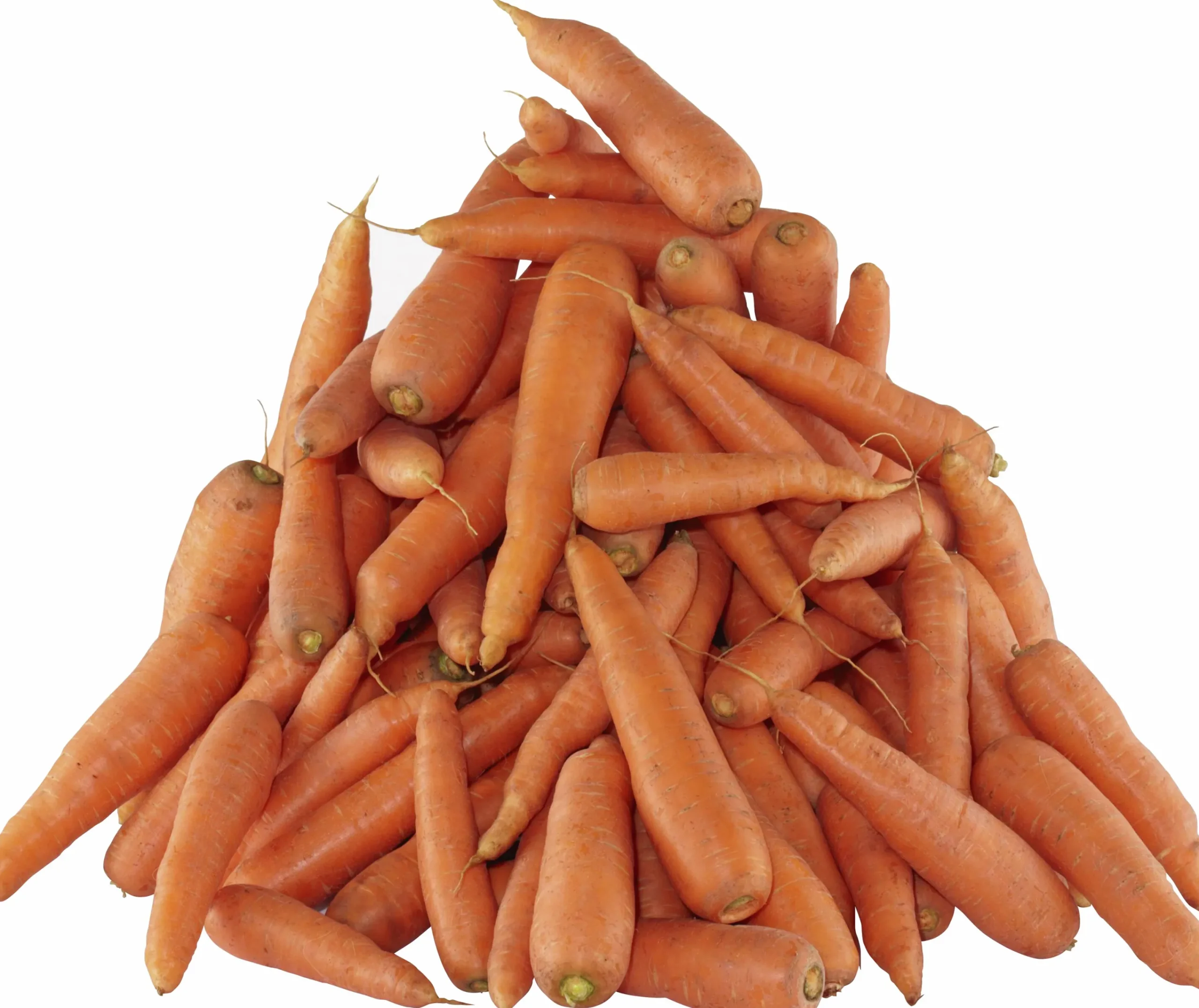 Foderråvara Morötter färska 5Kg>Varumärken Discount